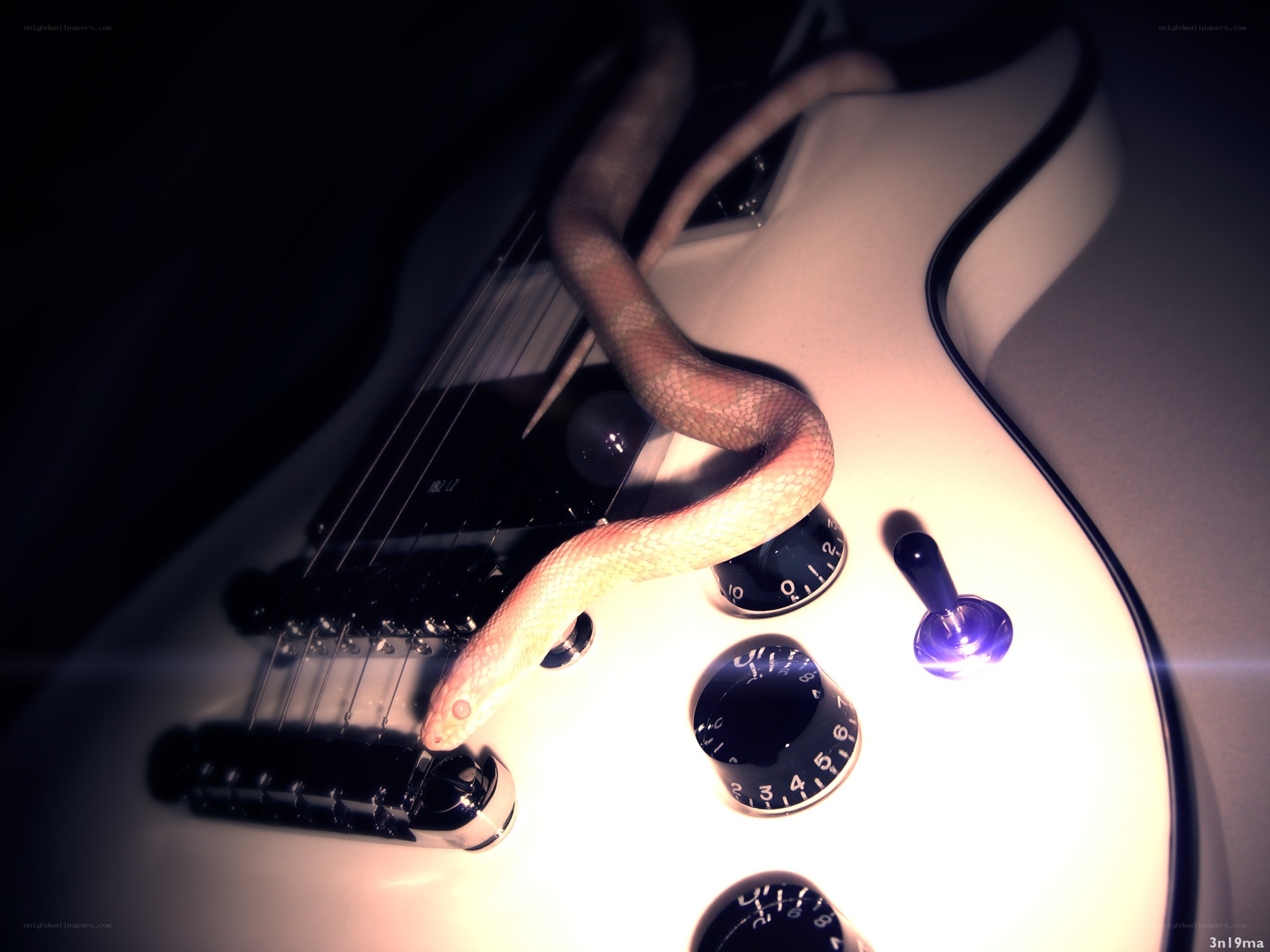 snake on electric guitar