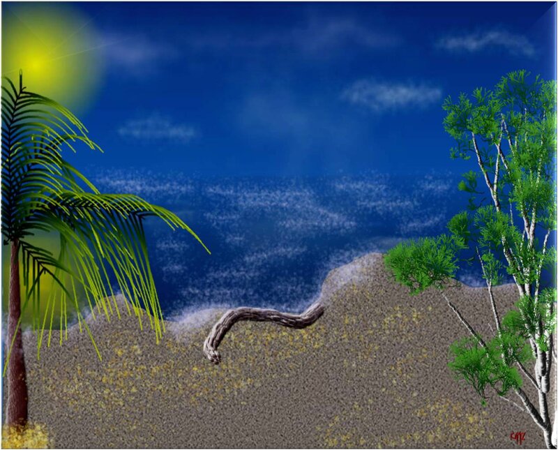 Snake on Sandy Beach
