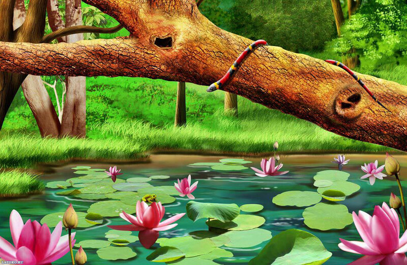Snake on Tree Branch