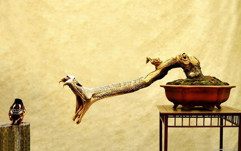 Snake-shaped Bonsai Tree — Brown