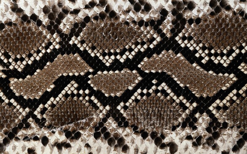 Snake Skin Pattern — Brown, Textured, Photograph, Scales, Black, White