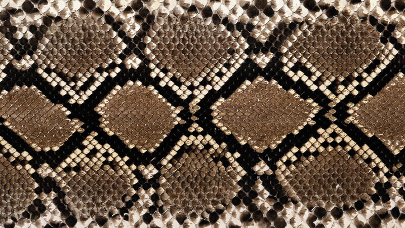 Snake Skin Pattern — Brown, Textured, Photograph, Scales, Diamond Shapes