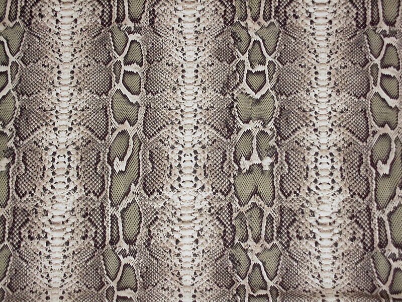 snake skin pattern texture