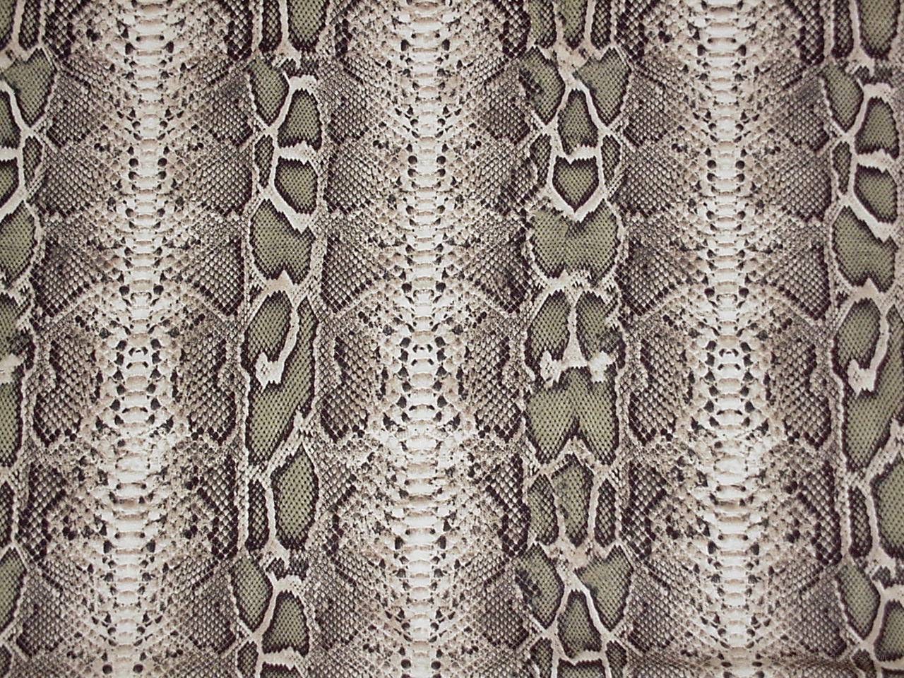snake skin pattern texture