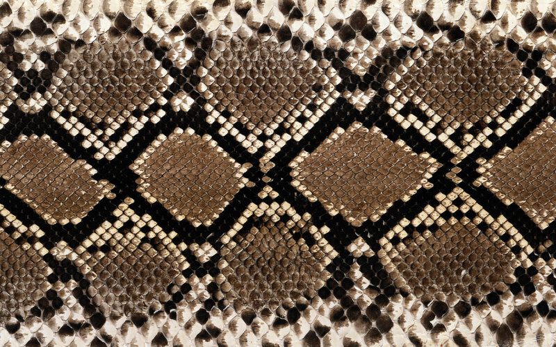Snake Skin Pattern