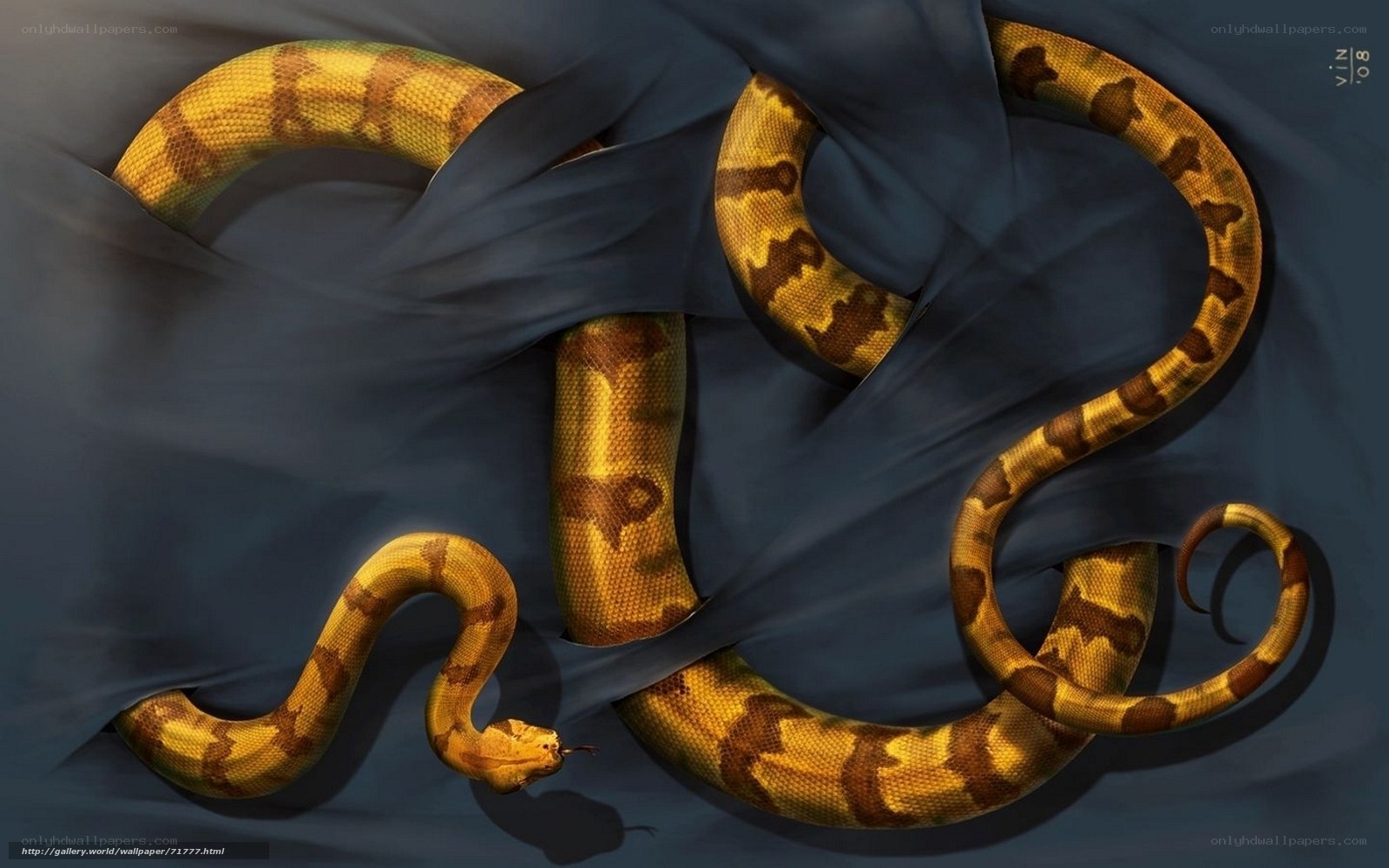 snake under fabric