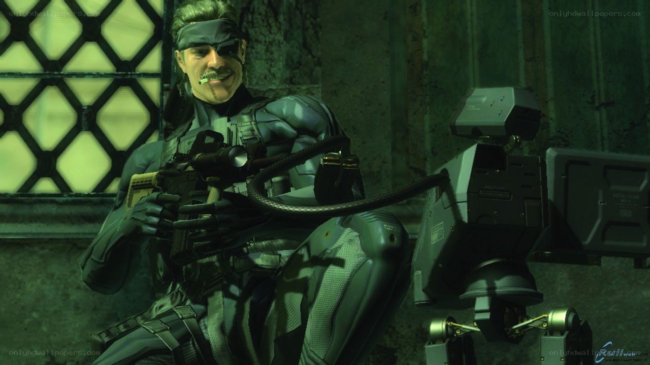 Snake with a robot companion