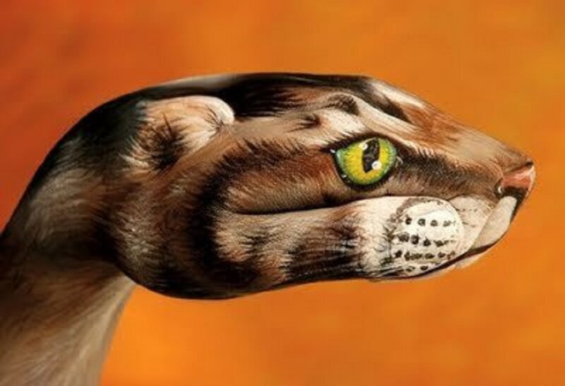 Snake with Green Eyes