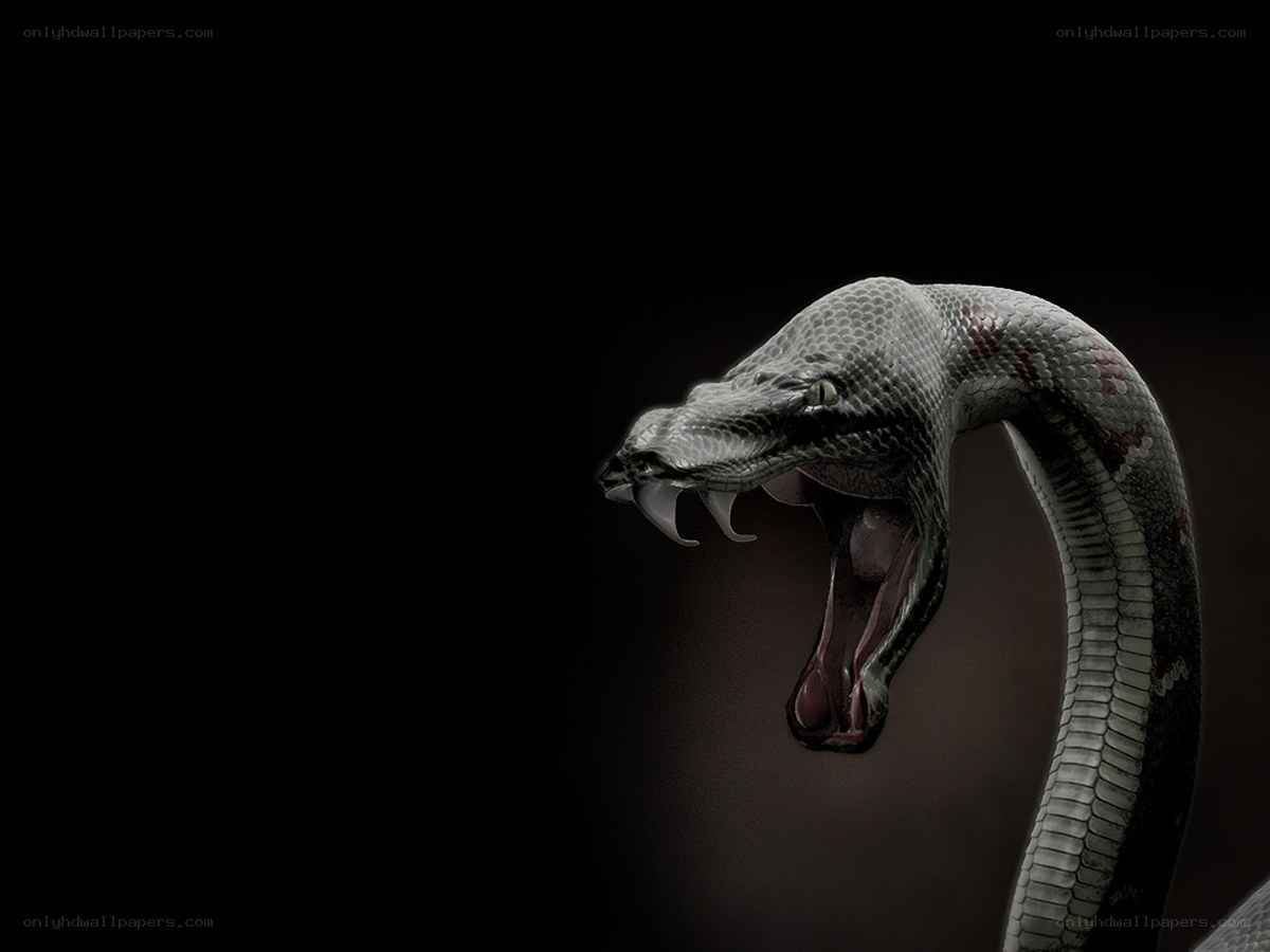 snake with open mouth
