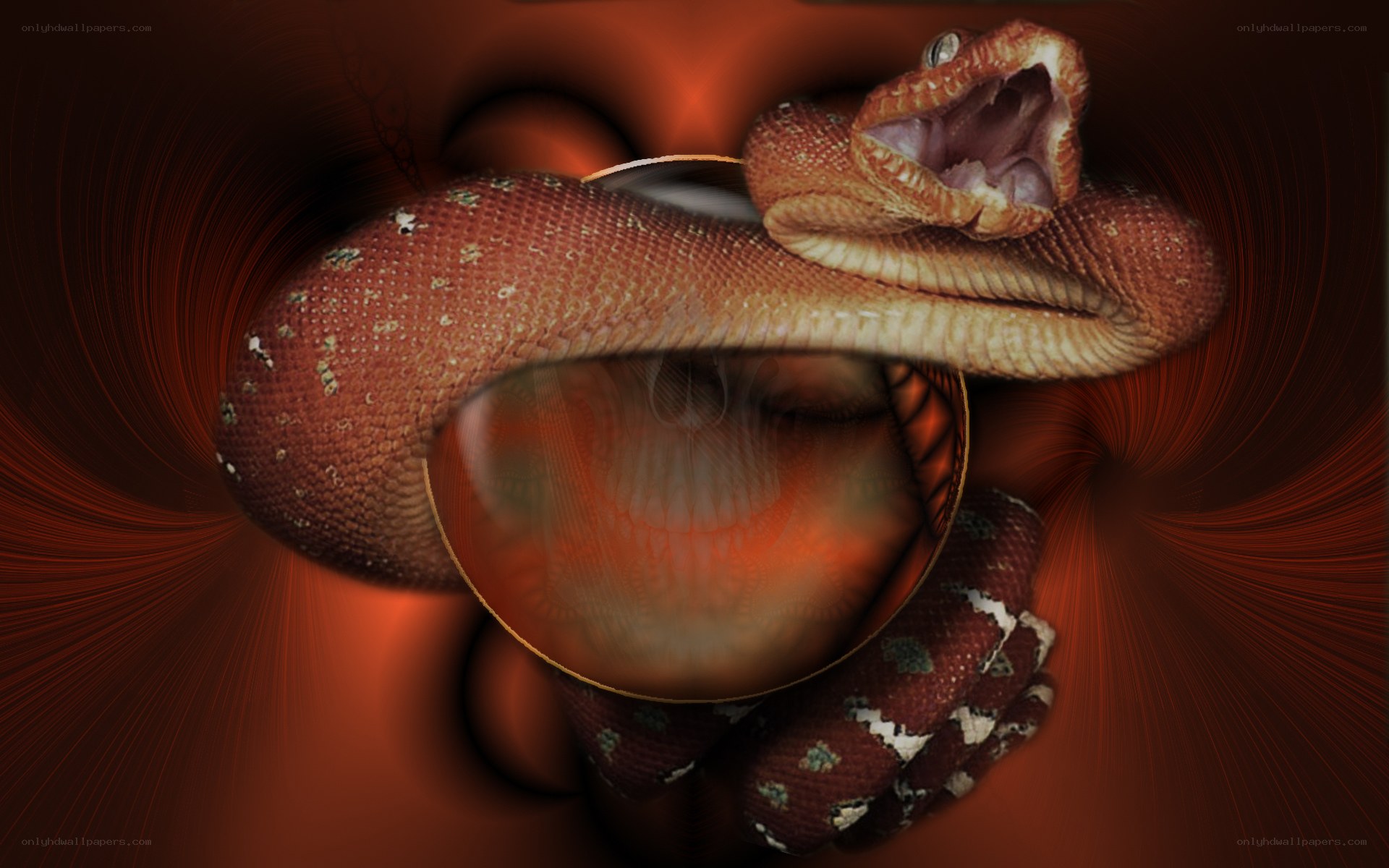 snake with open mouth