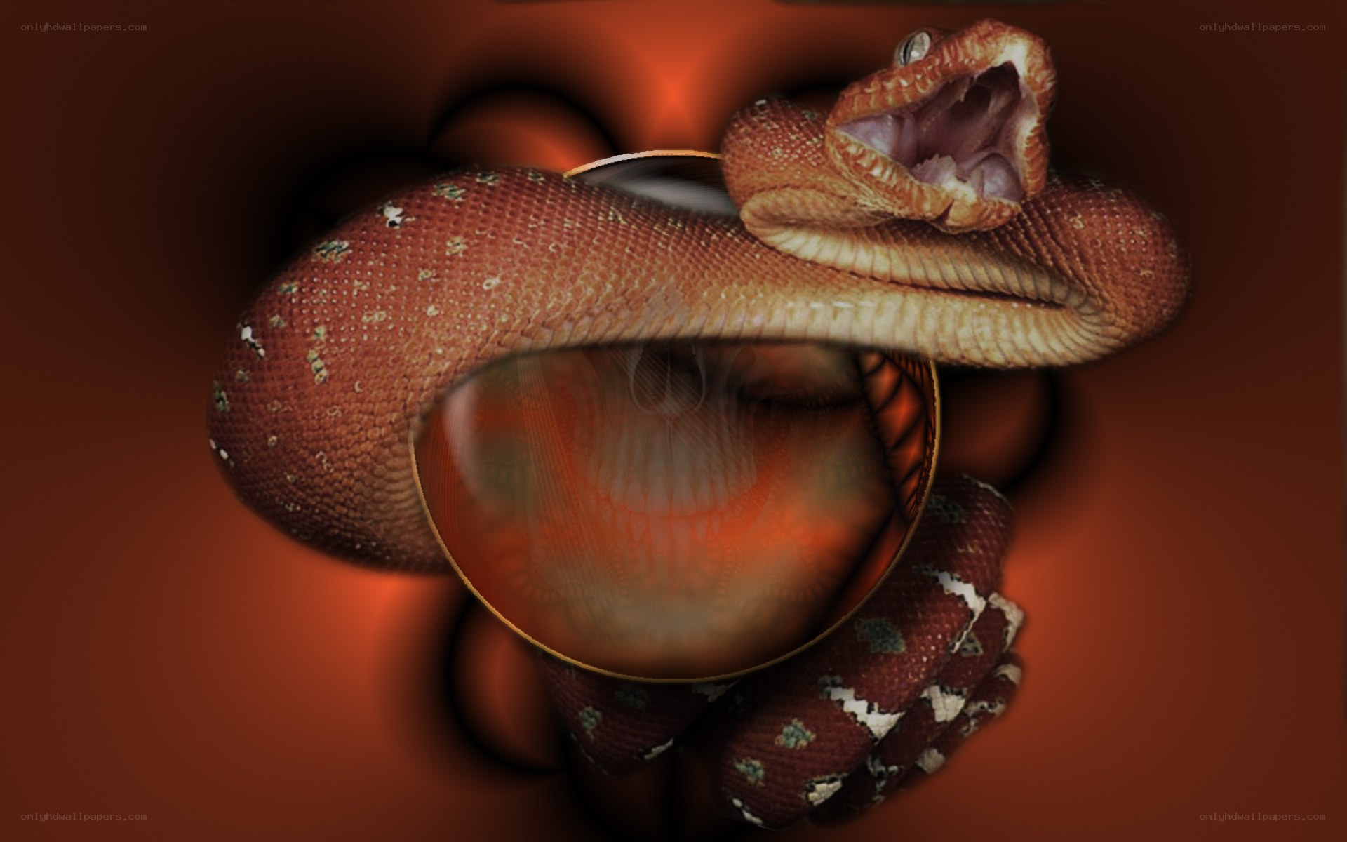 snake with open mouth
