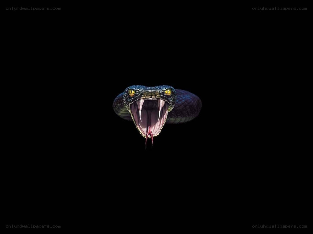 snake with open mouth