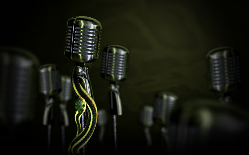 Snake Wrapped Around Microphone — Black, Dramatic