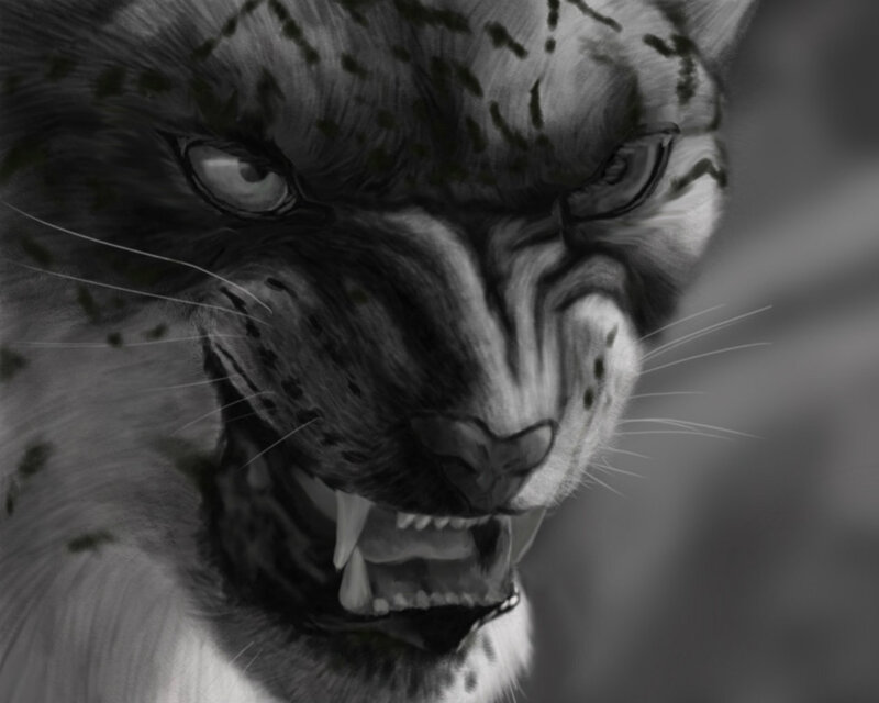 Snarling Snow Leopard
