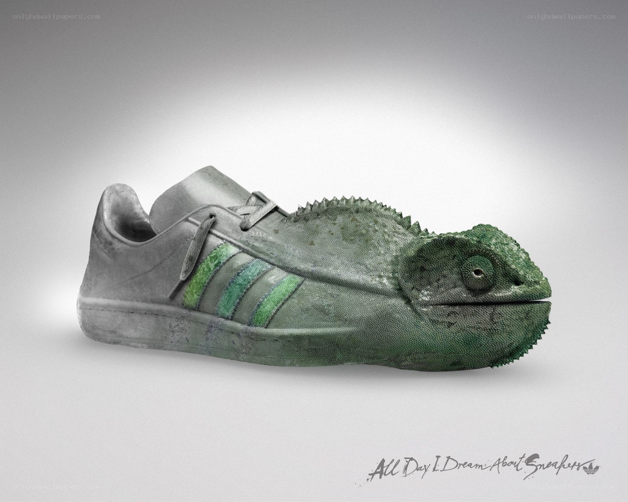 sneaker chameleon design