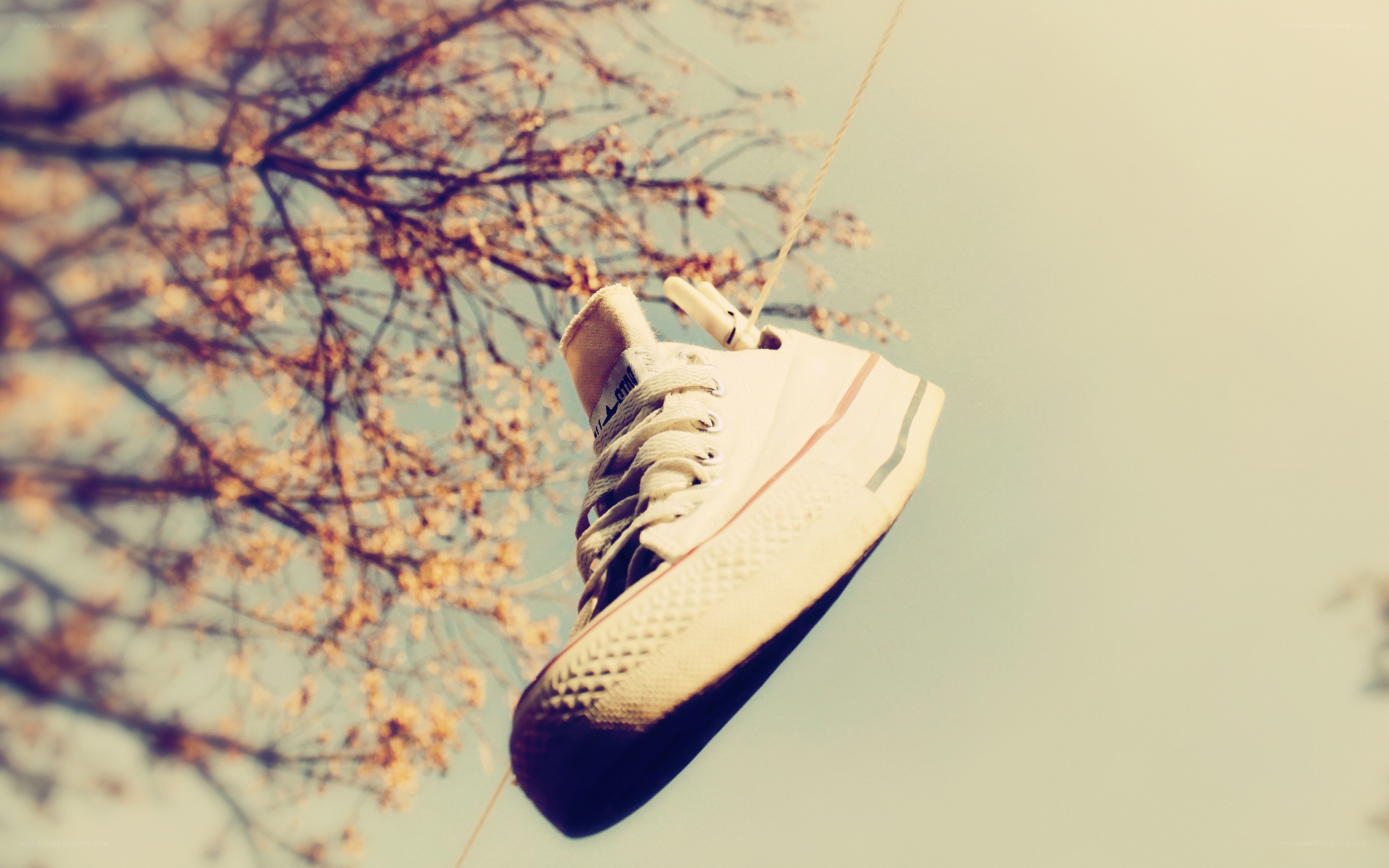 sneaker hanging on a clothesline