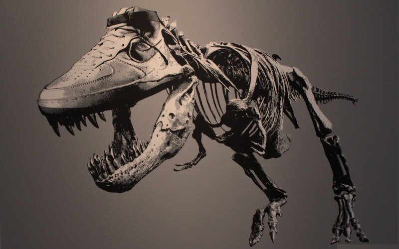 sneaker-headed dinosaur skeleton