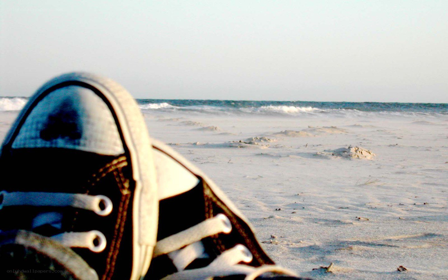 sneaker on the beach
