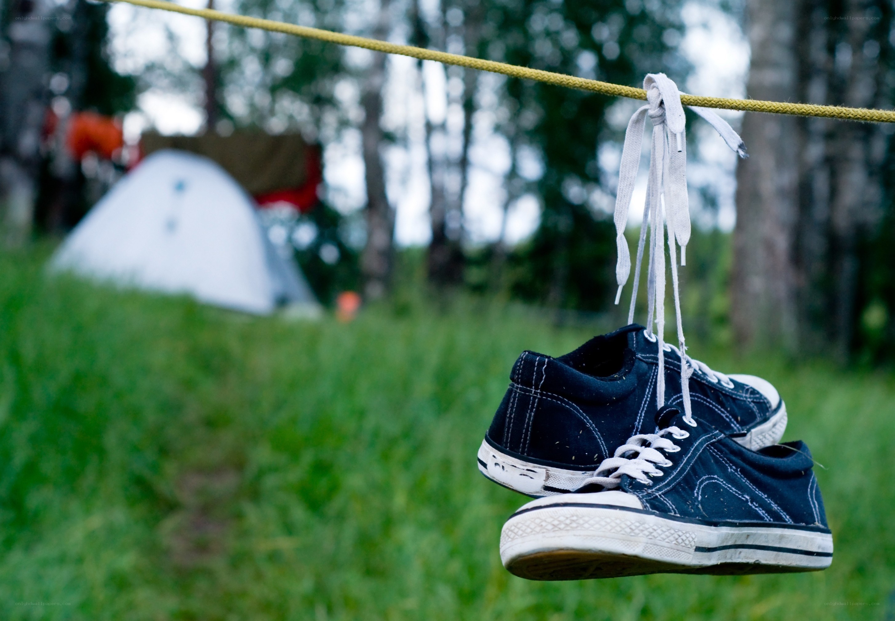 Sneakers hanging on a clothesline