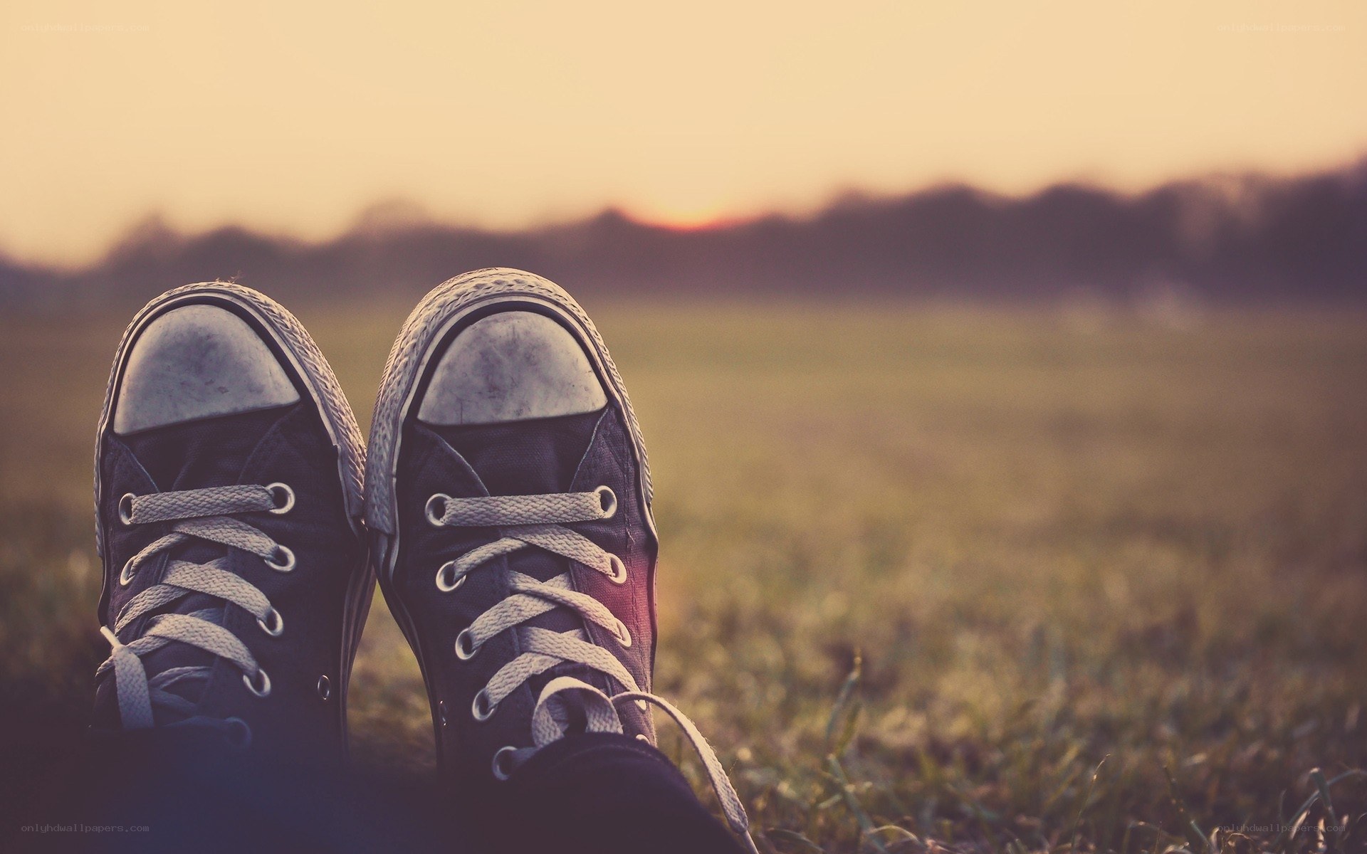 sneakers in a field at sunset