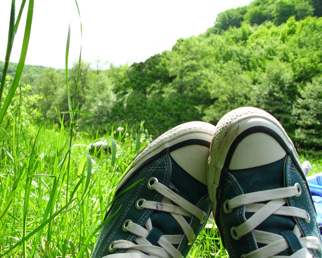 sneakers in a grassy field