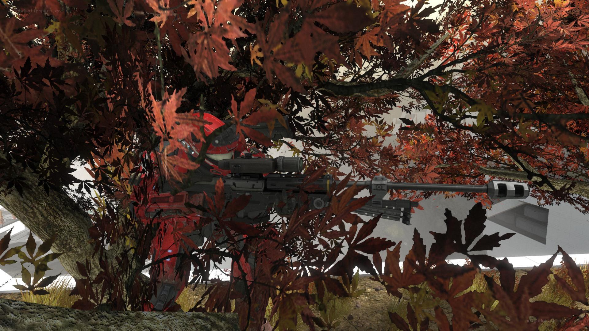 sniper in autumn foliage