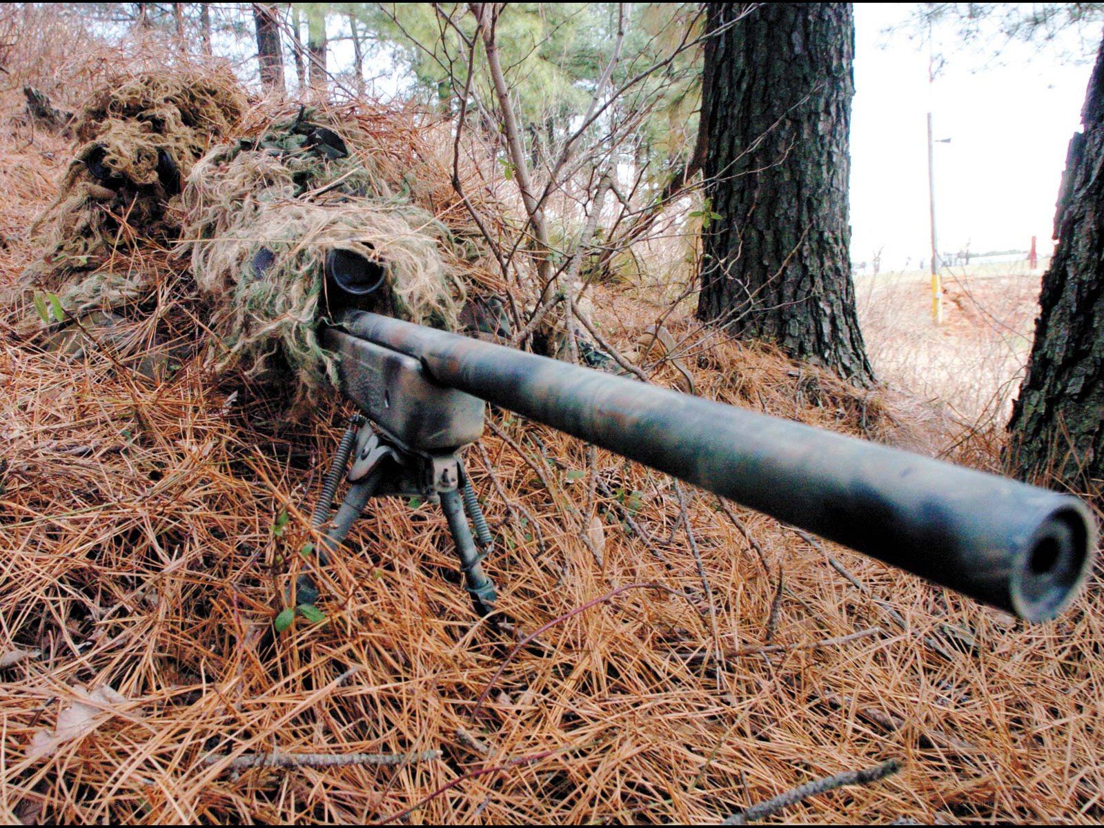 sniper in forest camouflage