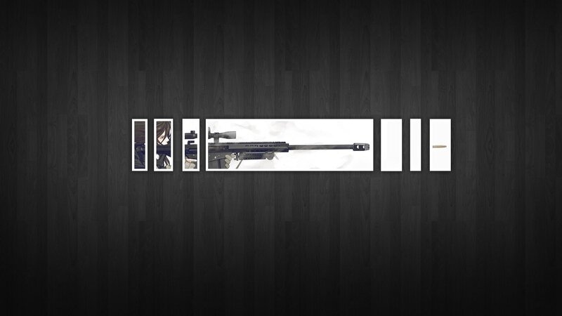 Sniper Rifle and Character