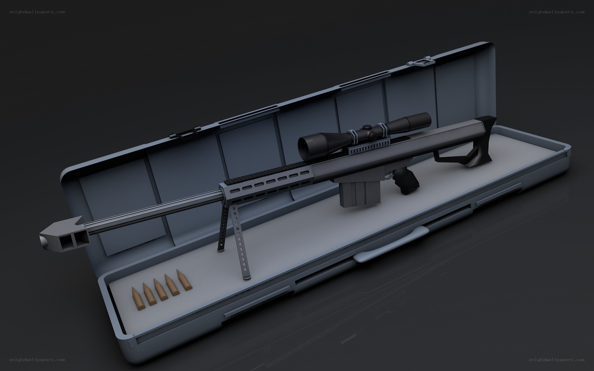 sniper rifle in case