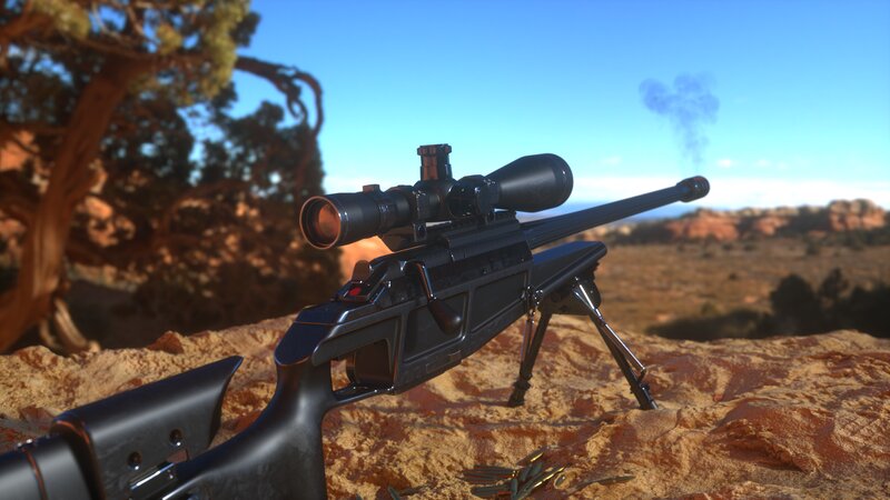 Sniper Rifle on Rock