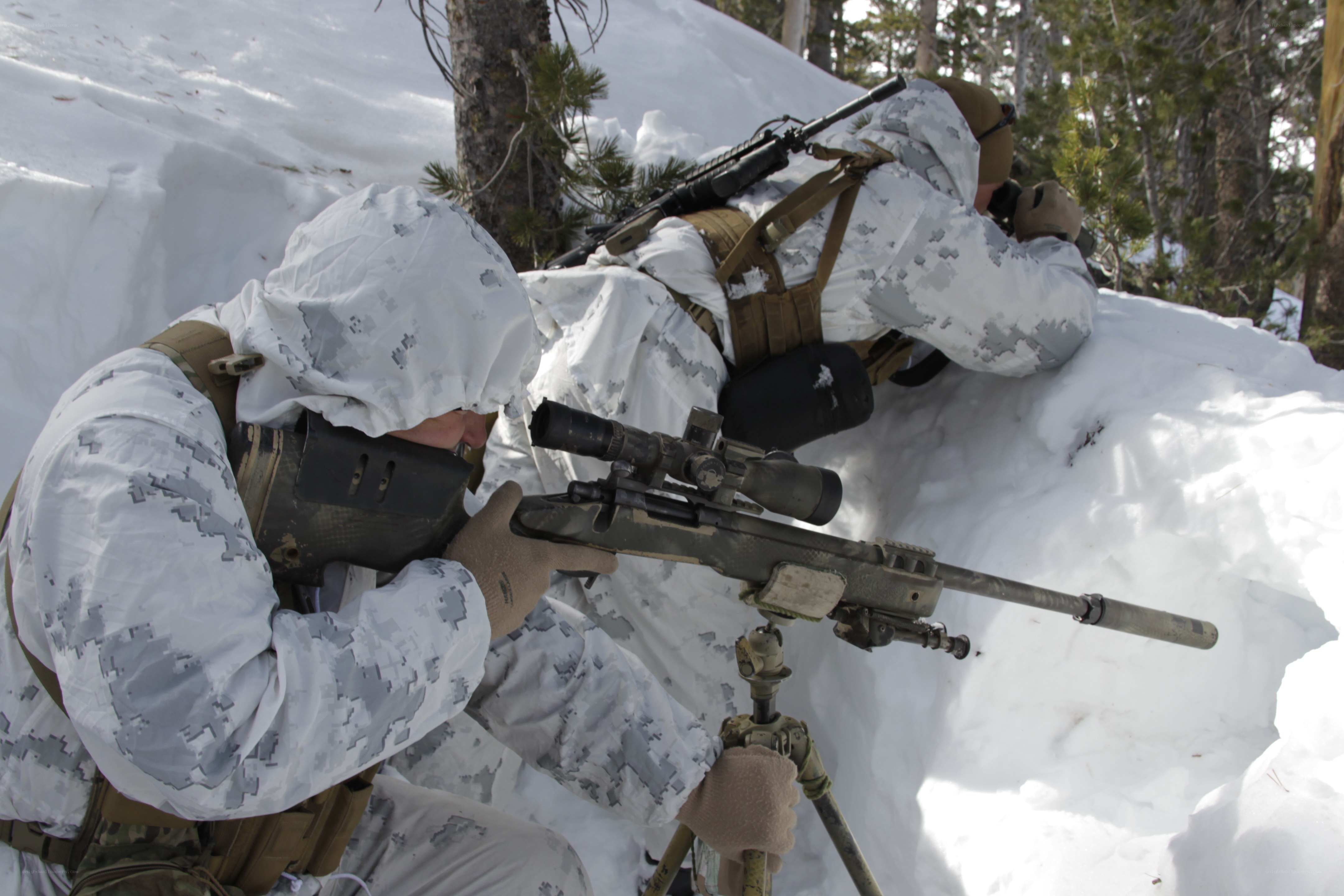 Snipers in snowy terrain