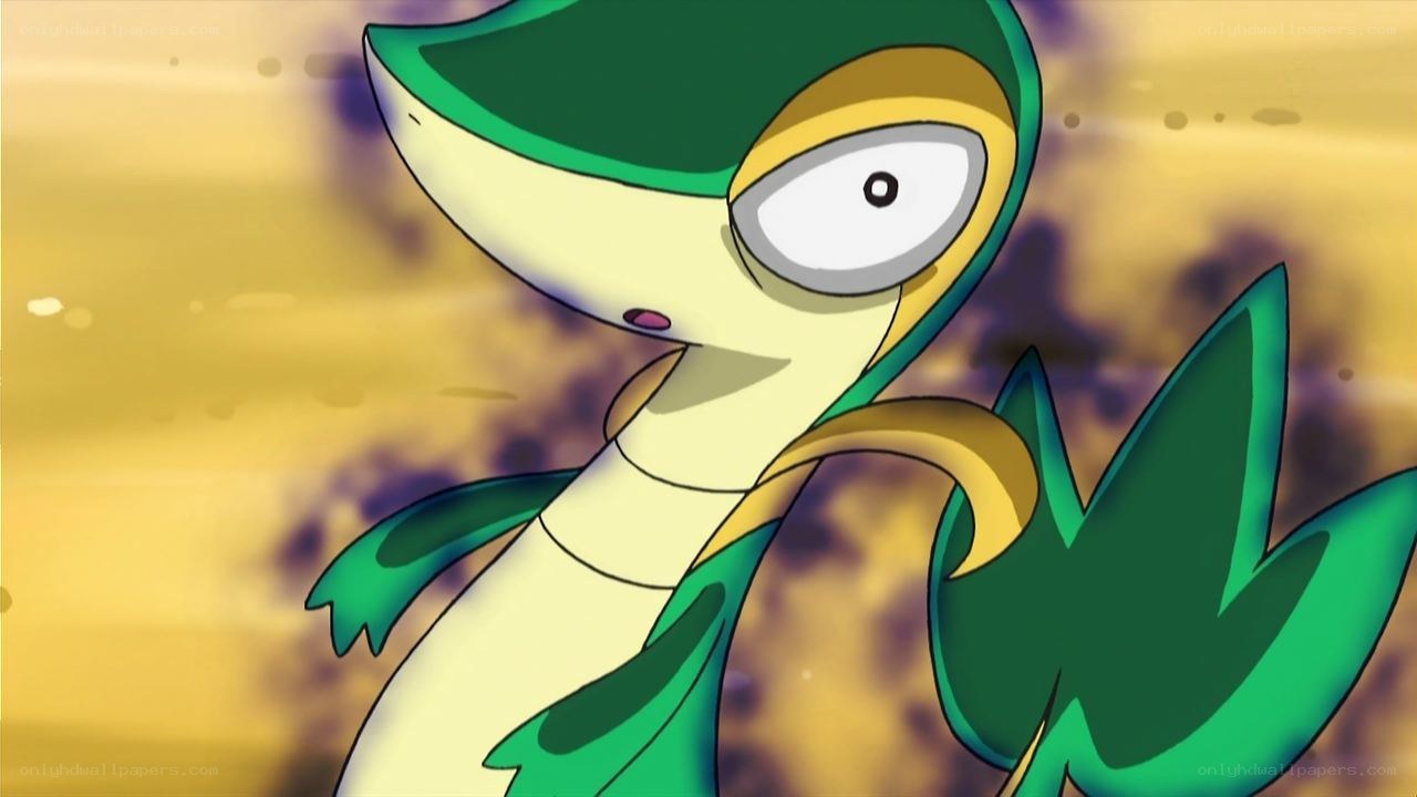 Snivy from Pokémon