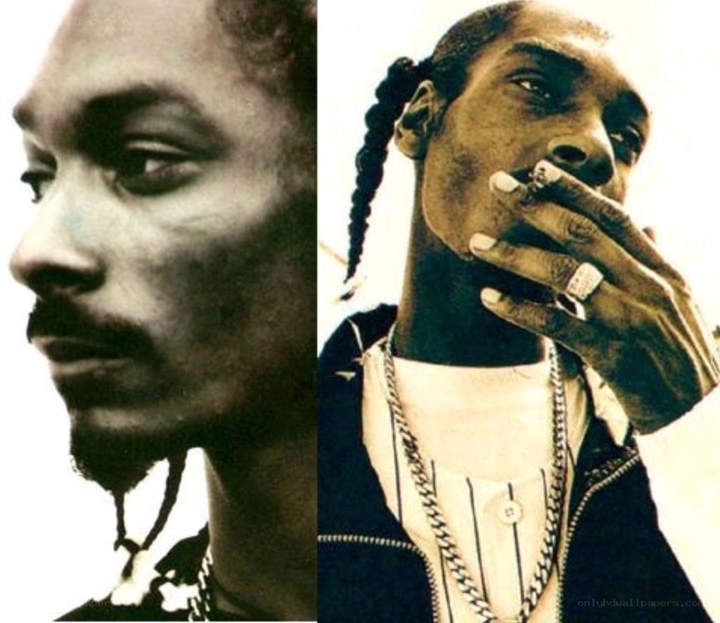 Snoop Dogg portrait collage