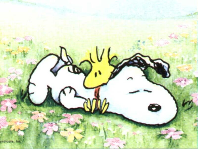 Snoopy and Woodstock — Green