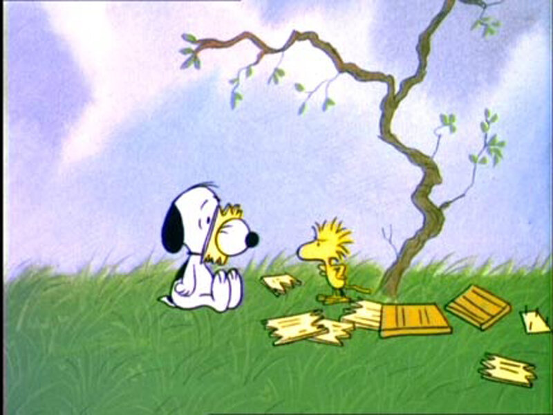 Snoopy and Woodstock in a field