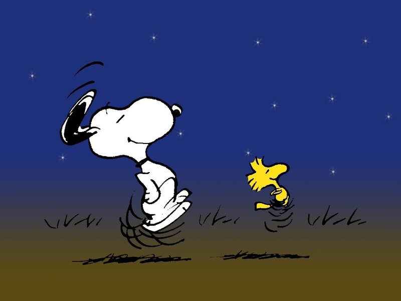 Snoopy and Woodstock under stars