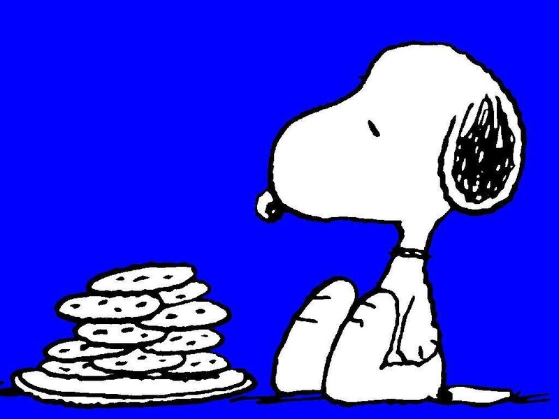 Snoopy Dog with Cookies