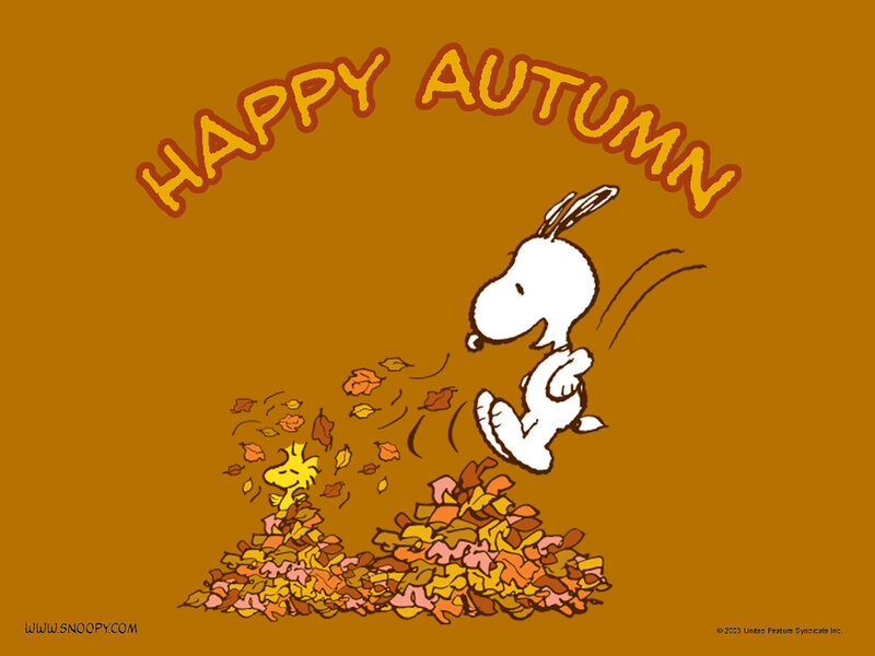 Snoopy in autumn leaves