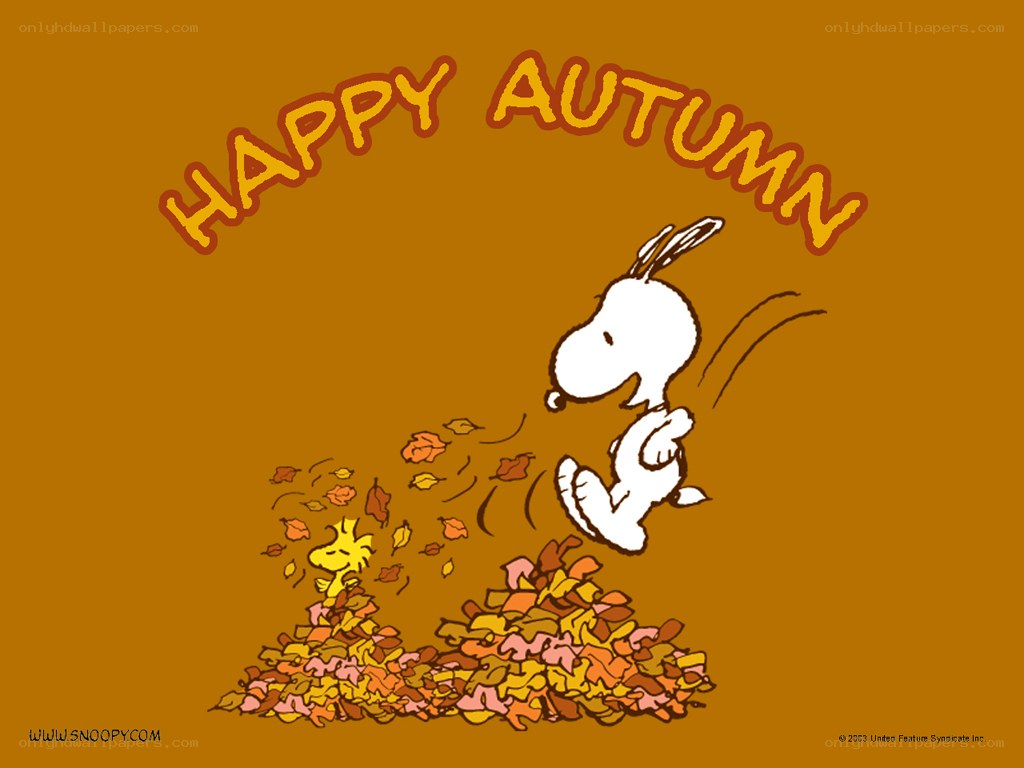 Snoopy in autumn leaves