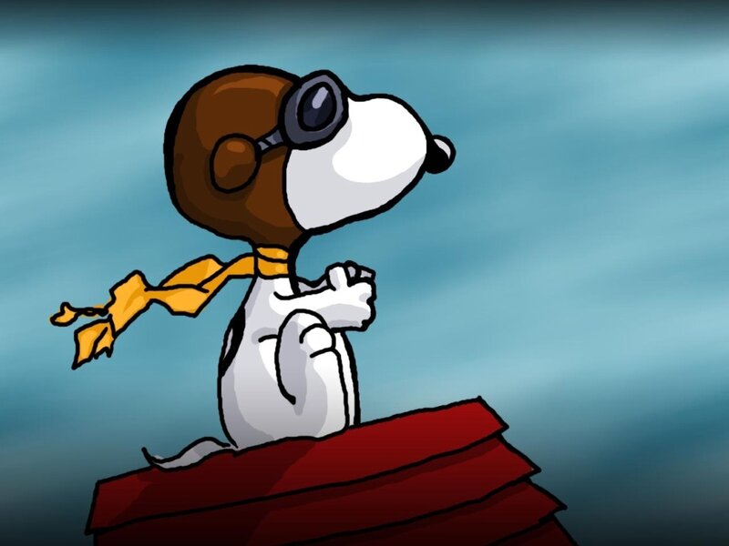 Snoopy in Aviator Gear