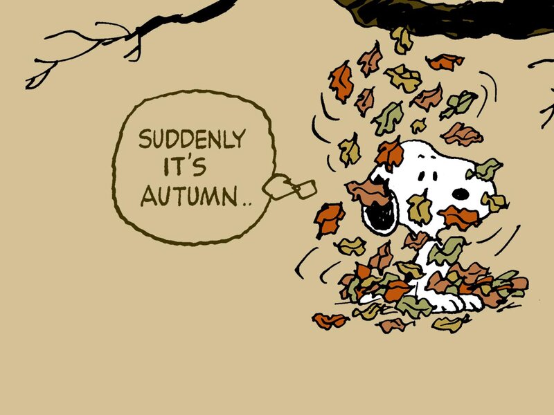 Snoopy in Leaves