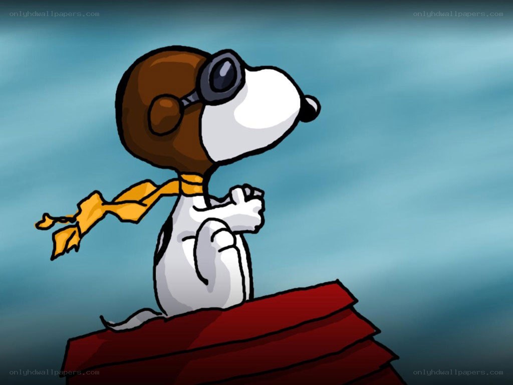 Snoopy in pilot gear