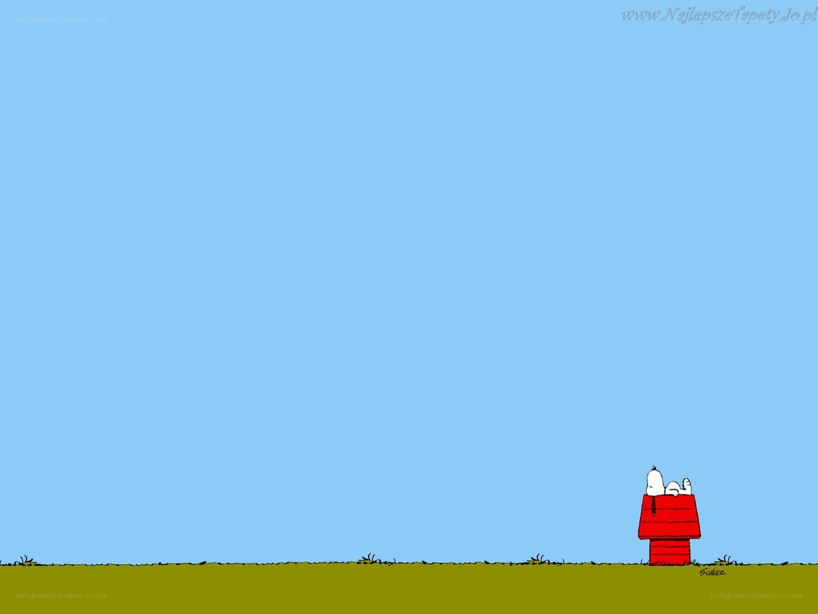 Snoopy on his doghouse
