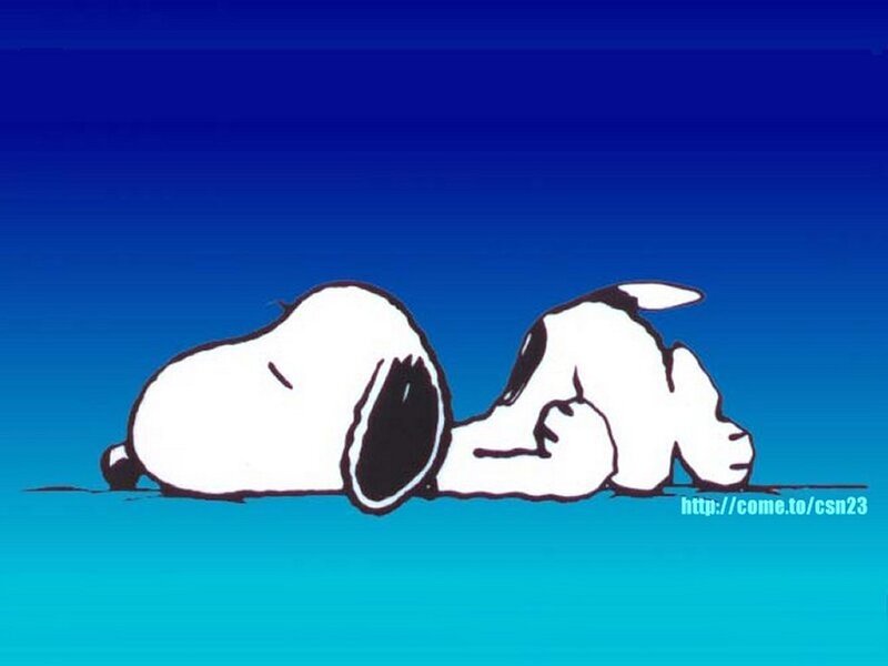 Snoopy sleeping on blue background