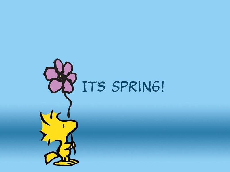 Snoopy with a flower