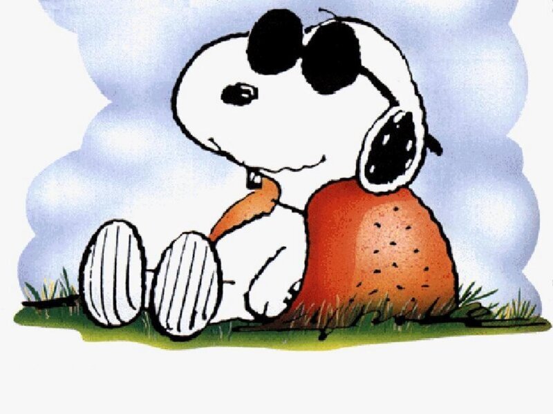Snoopy with sunglasses