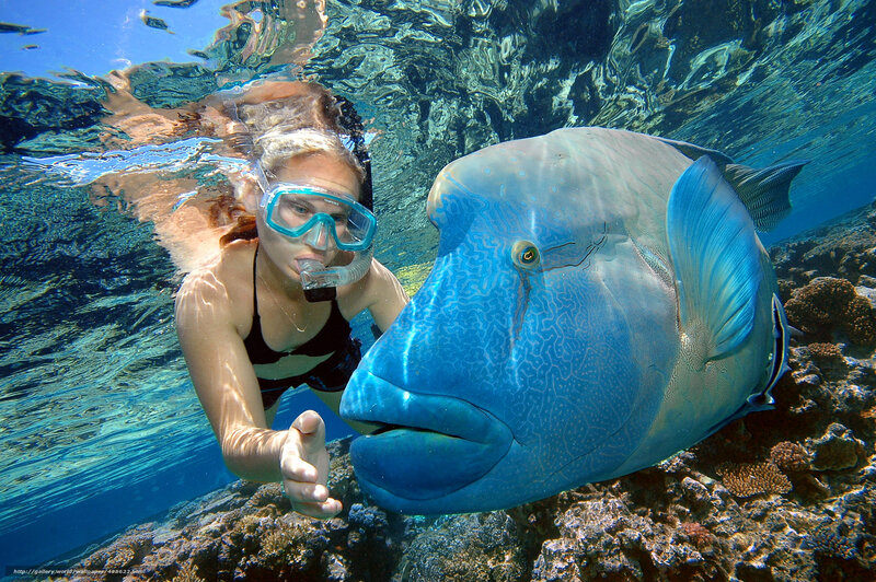 Snorkeler with a giant fish