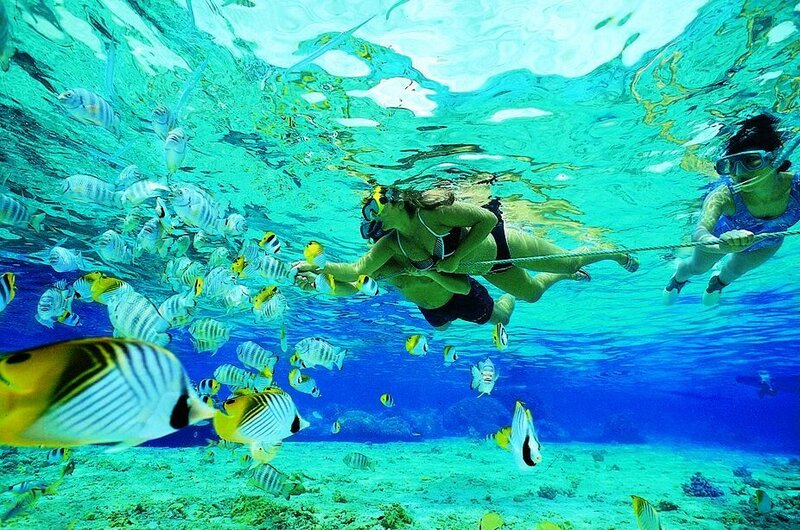 Snorkelers with tropical fish