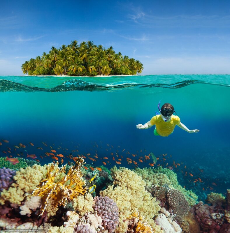 snorkeling near coral reef island