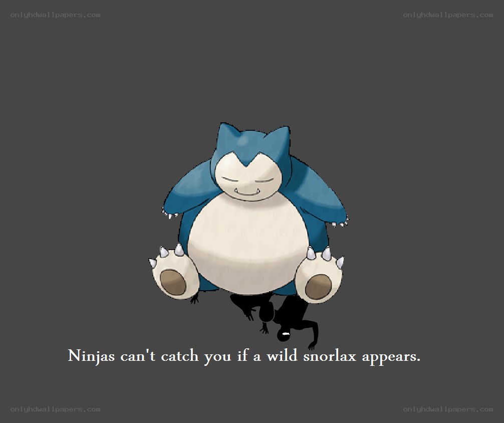 Snorlax protects the ninja